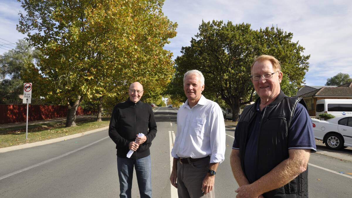 TREE OF US: David Mullen, Wal Smart and Deputy Mayor Bob Kirk are members of a council working party recommending change in the way Goulburn manages its street trees. Here they are pictured in one of the city's finer avenues in Bradley St. Absent: Fred Rainger.