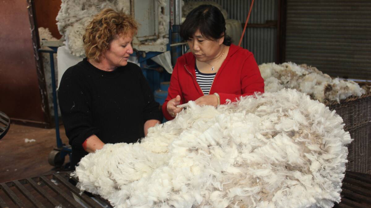 QUALITY: Bungonia wool producer Diane Broadhead and Madame Huang Shu Yuan from the Chinese Wool and Textile Industry inspect a freshly shorn sheep fleece for quality. The Broadhead’s wool is normally around 18-18.5 micron thickness.