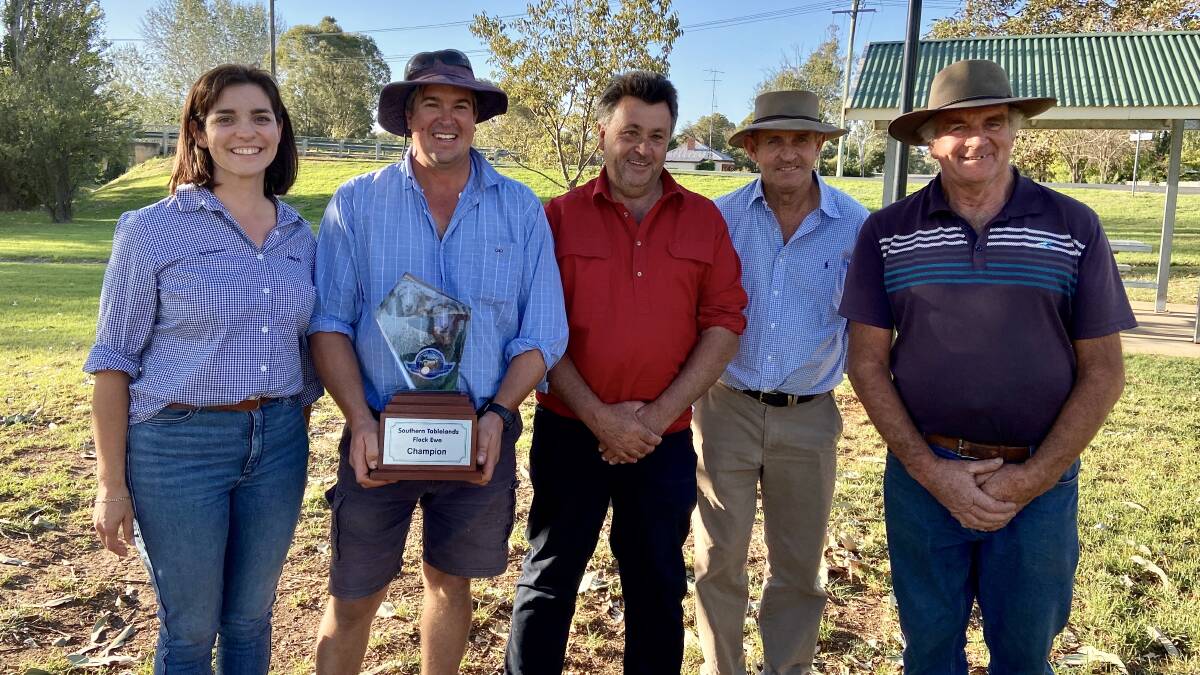 CHAMPION: Daniel Fitzell of Flowerburn holds the winning trophy with Adele Fiene of ANZ (left), Drew Chapman of NSW Stud Merino Breeders Association and judges Steve Phillips of Yarrawonga and John Alcock of Greenland. Photo: supplied