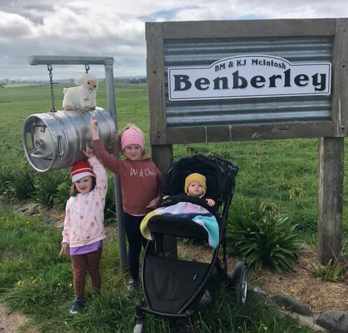 WHAT A BEAUTIFUL DAY: Laela, Elsie and Rosey McIntosh join the local bear hunt by putting their fluffy white lamb out on the letterbox. Photo: supplied