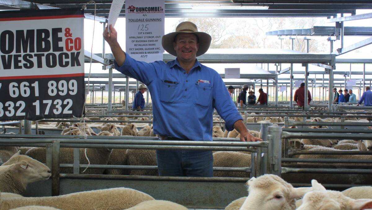 First-cross ewes were in demand at the SELX special sale in November. Photo: Hannah Sparks
