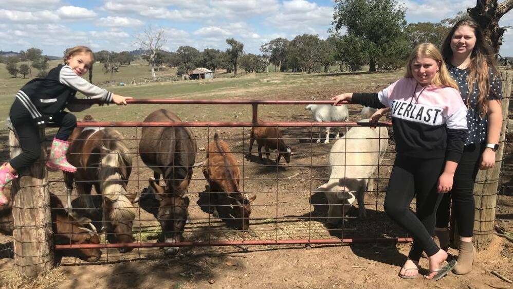 GENEROSITY: Donna Jones' children Jo-Lee, Emily and Melissa feed hay to horses, donkeys, goats and pigs. Photo: supplied