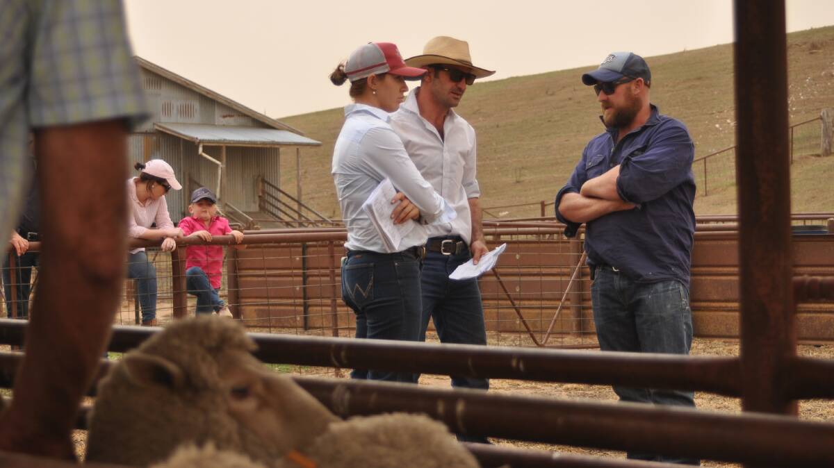 2020 Crookwell Flock Ewe Competition