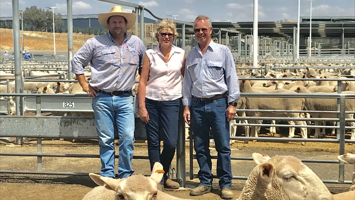 Agent Phill Butt of Butt Livestock and Property sells 16-month-old, first-cross ewes to a record price of $308 per head for John and Suzi Shaw, Rutherford at Gunning. Photo: Hannah Sparks