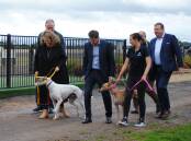 Examine: Goulburn MP Wendy Tuckerman, Hospitality and racing minister Kevin Anderson, Goulburn Mulwaree Council mayor Peter Walker and Greyhound Racing NSW CEO Rob Macaulay taking a walk along the proposed straight track. Photo: Burney Wong.