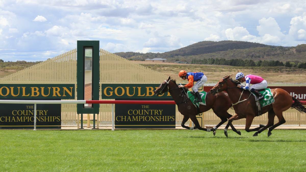 Limited numbers: This year's Goulburn Cup will have a different feel to it. Photo: supplied.
