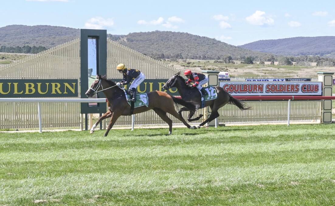 The Goulburn Cup will be very important from here on in. Photo: Goulburn Race Club. 