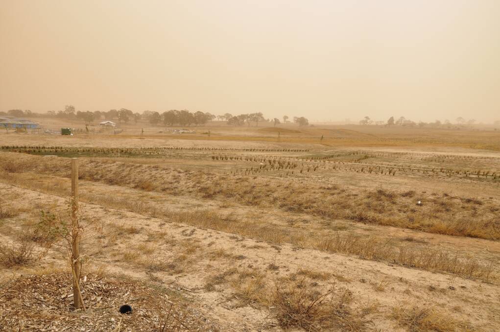 Photos of the dust around town