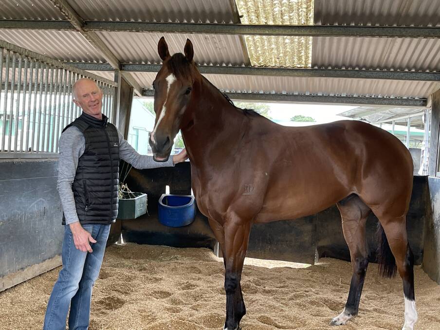 Bond: Danny Williams with Shelby Sixtysix in the stables before the TJ Smith Stakes. Photo: Mandy O'Leary.