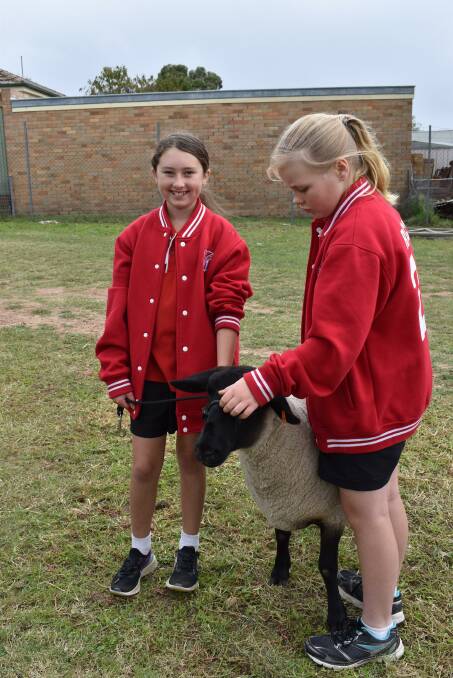 Students learned how to handle animals at the school farm. Photo: supplied. 