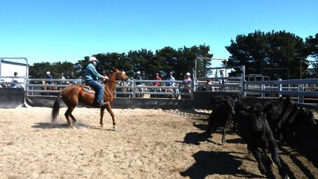 There were plenty of competitors at this year's Goulburn Campdraft. 
