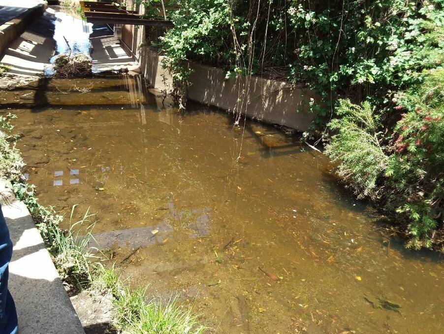 Contaminated water was detected in a waterway flowing into the Mulwaree ponds at the Blackshaw Road rail underbridge, off Sloane Street, according to the EPA. Photo: Supplied.