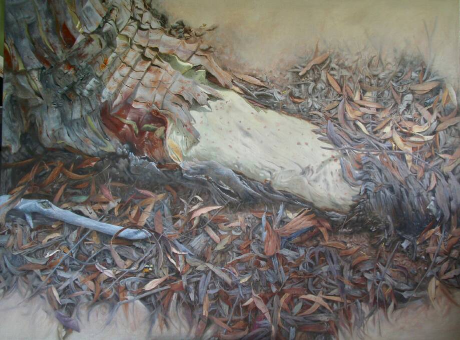 Catherine Lidden's artwork 'Grounded'. 