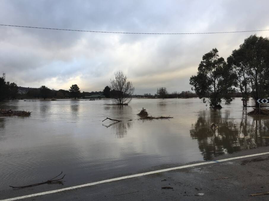 Eastgrove, Goulburn after rainfall over the weekend. Pic: Louise Thrower
