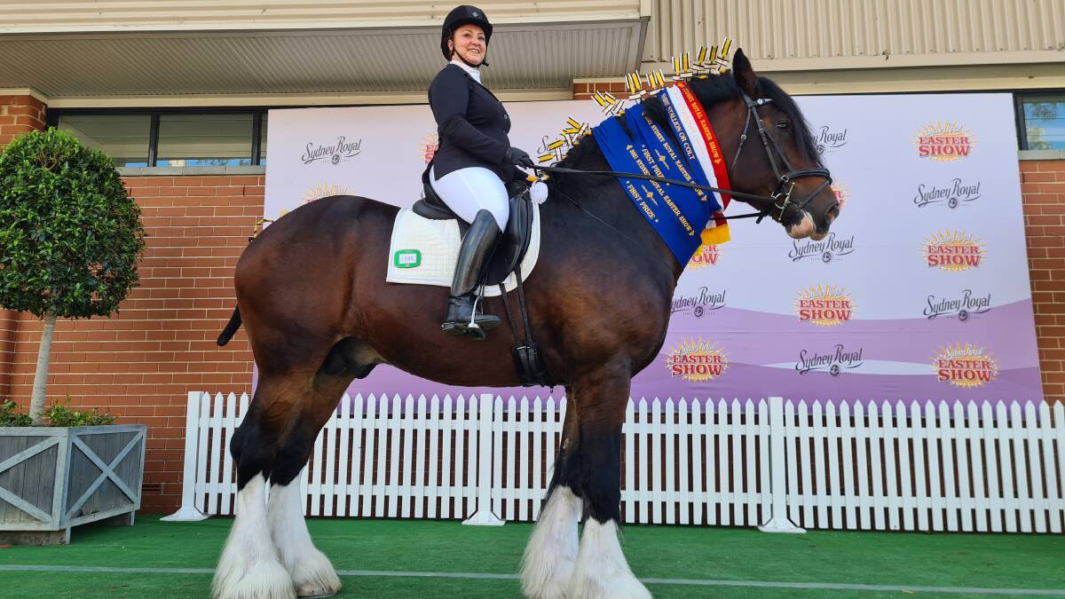 Marulan based Rebecca Ferguson's stallion Apollo wins award at Sydney Easter Royal Show. Pic: Supplied