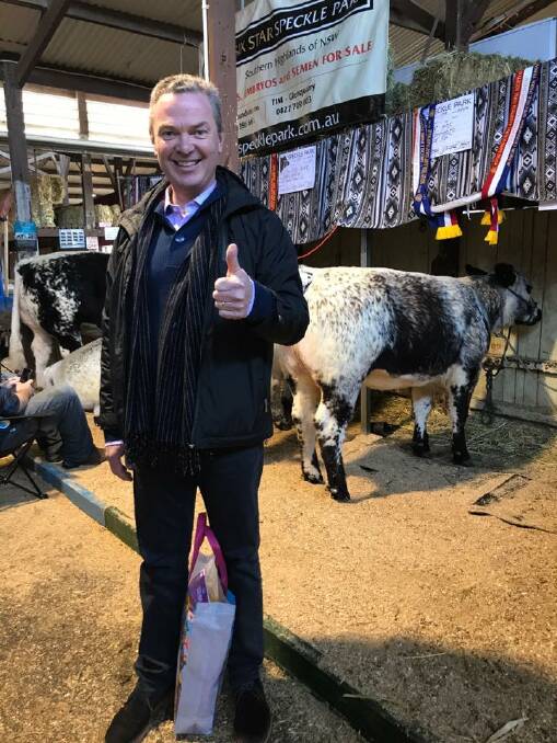 Christopher Pyne posted this image on his Facebook page with the caption: At the Royal Adelaide Show hanging out with the Santa Gertrudis!
