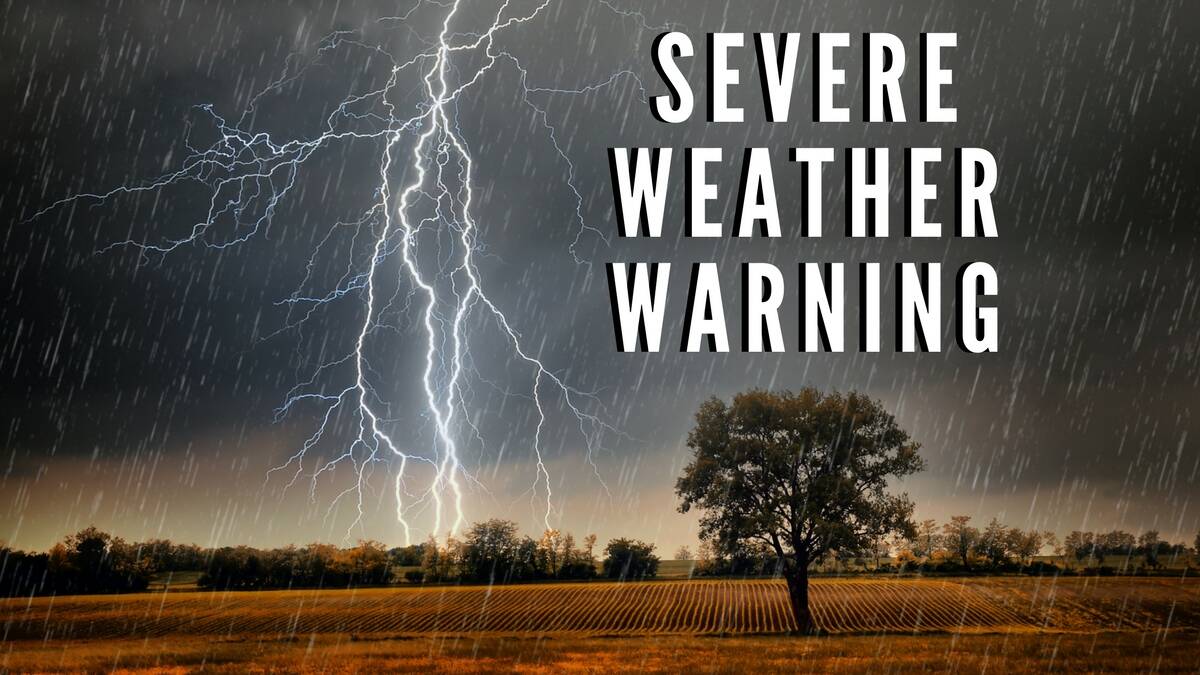 WEATHER ALERT: A damaging wind warning has been issued for parts of the region. Photo: FILE