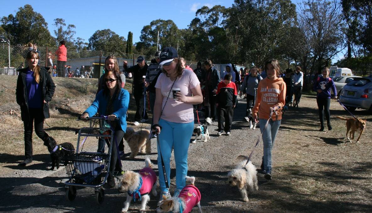 Every woman, man and his/her dog flocked to Victoria Park for the RSPCA’s Million Paws walk on Sunday. Photos LOUISE THROWER.