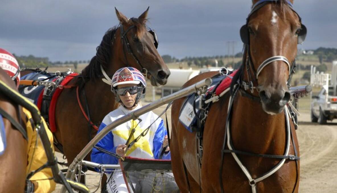 HEWITT TO ECLIPSE RIVALS: Itaintover, driven by Amy Day, is a chance at Menangle tonight. Photo: Greig Lord.