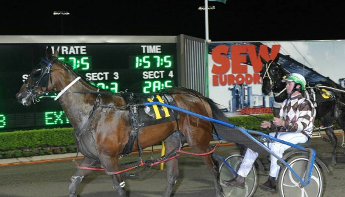 HEWITT IN FRAME AS SERIES HEATS UP: The David Hewitt trained Toolijooa Dawn won the first series final of the Tabcorp Park Menangle Country Series. Photo: Gene Lett. 
