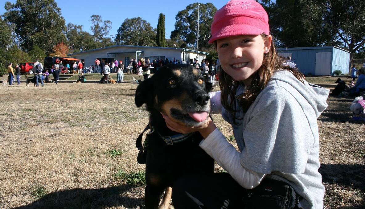 Penny Chalker geared up for a stroll around Victoria Park with ‘Rocky,’ a Border collie kelpie. She was among several hundred people who took part in Sunday’s Million Paws walk in Goulburn. Photos LOUISE THROWER.