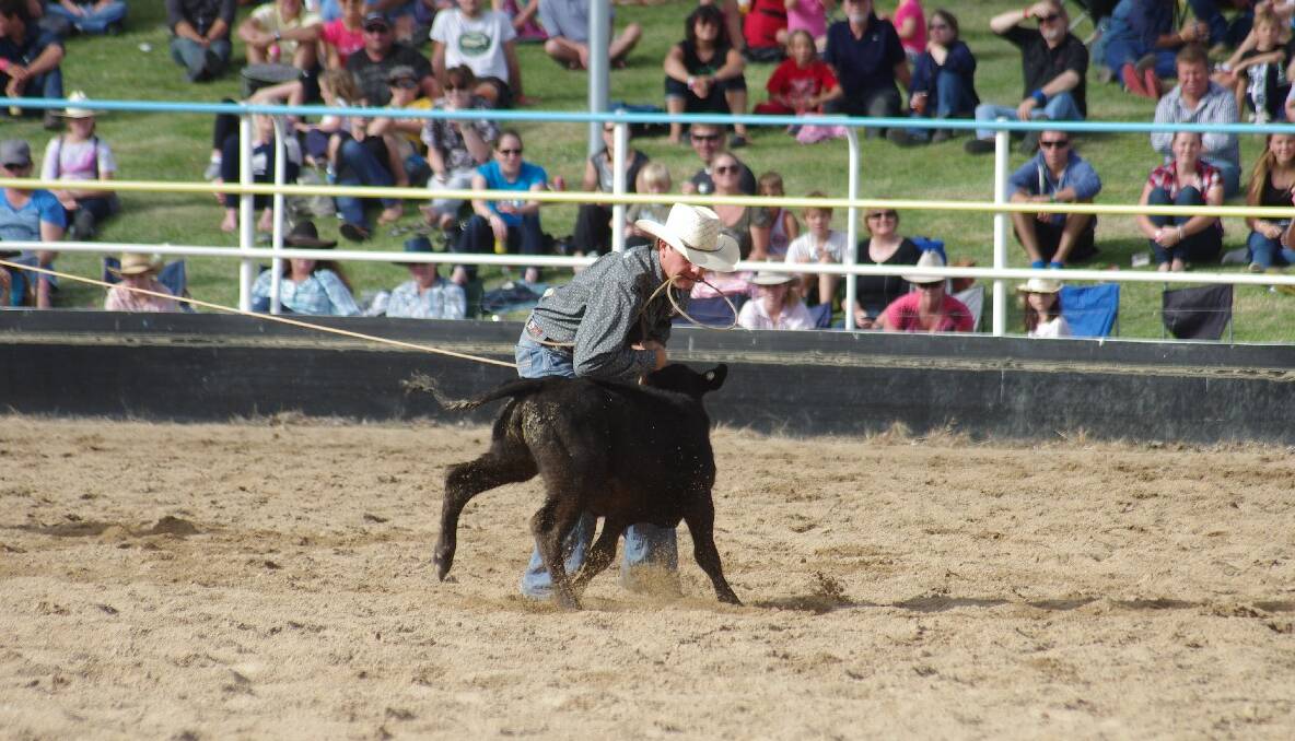 Goulburn Rodeo 2013. Photos DARRYL FERNANCE.
