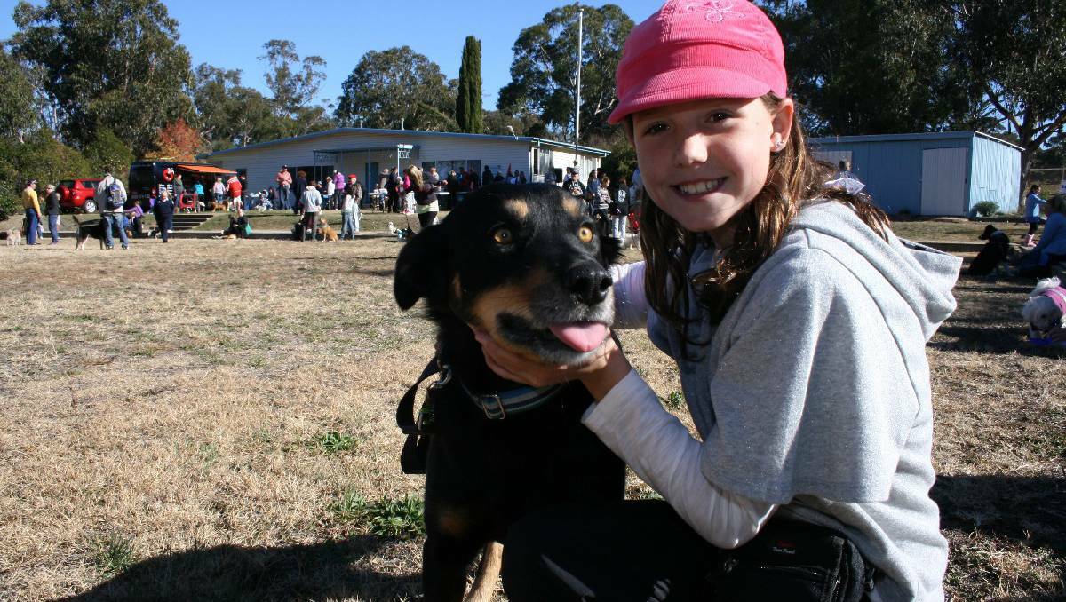  Penny Chalker geared up for a stroll around Victoria Park with ‘Rocky,’ a Border collie kelpie. She was among several hundred people who took part in Sunday’s Million Paws walk in Goulburn. Photos LOUISE THROWER.