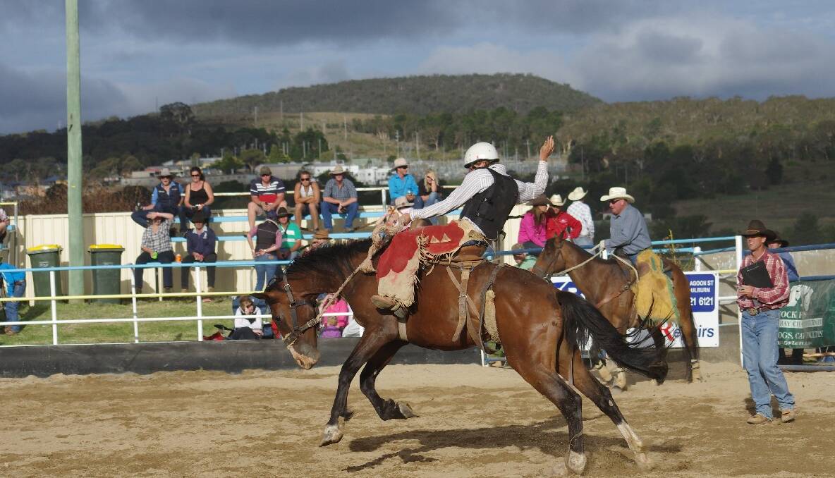 Goulburn Rodeo 2013. Photos DARRYL FERNANCE. 