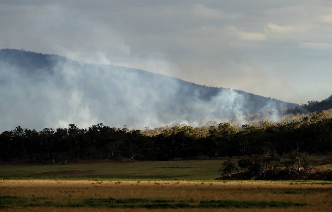 The bushfires in the Cooma area were initially started at "Yarrabin" about 15 kms east of Cooma. Smoke lingers in bushland not far from Numeralla. January 12, 2013 Photo: Graham Tidy/The Canberra Times.