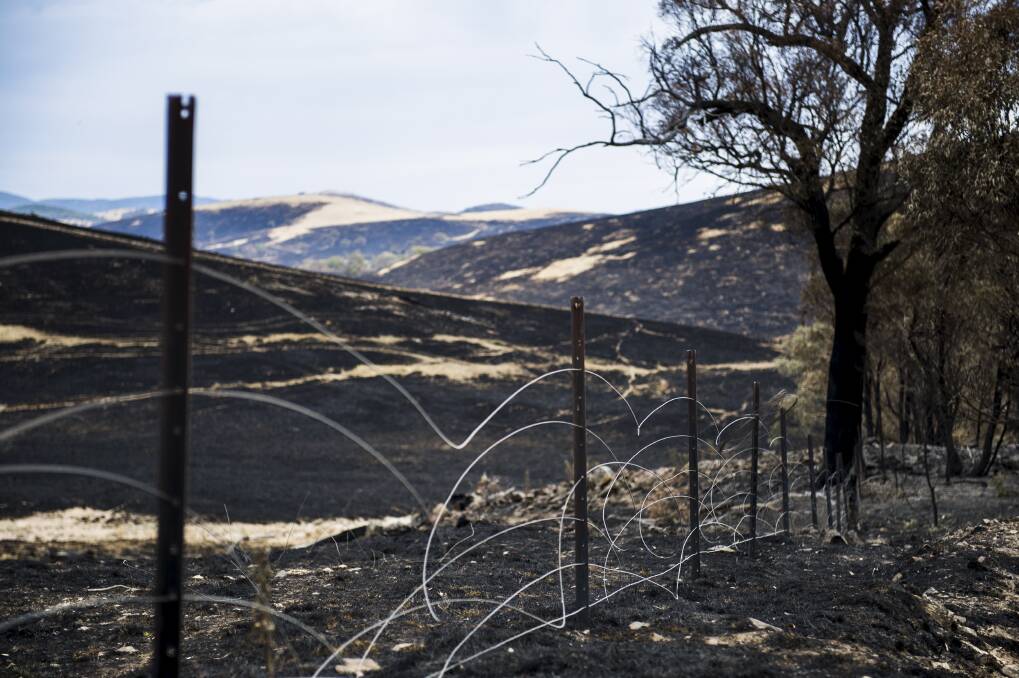 Burnt country and damaged fence near Yass, NSW on January 12, 2013. Photo: Rohan Thomson/The Canberra Times