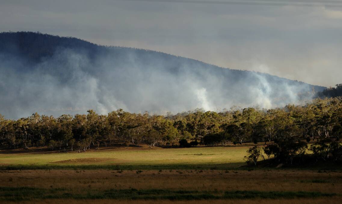 The bushfires in the Cooma area were initially started at "Yarrabin" about 15 kms east of Cooma. Smoke lingers in bushland not far from Numeralla. January 12, 2013 Photo: Graham Tidy/The Canberra Times.